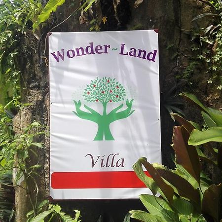 Wonder-Land Villa Убуд Экстерьер фото